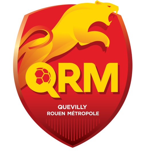 logo_QRM_NEW petit