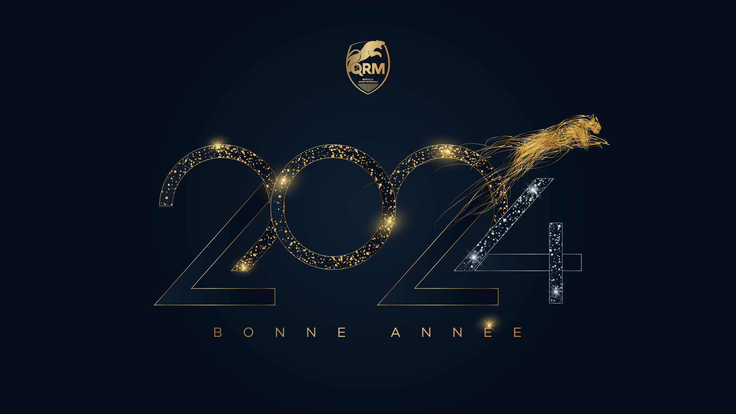 Bonne année 2024 ! - QRM
